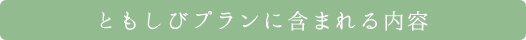 ともしびプランに含まれる内容