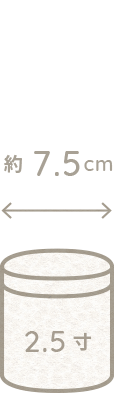 2.5寸